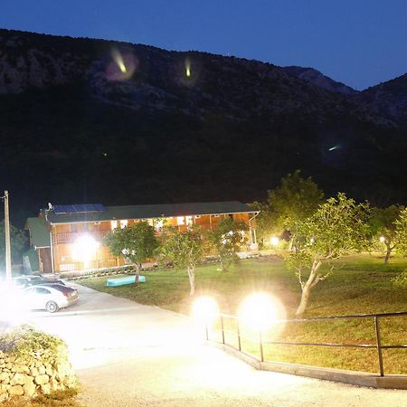 Guest House Jadran Pol Petrovac Eksteriør bilde